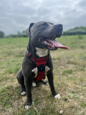 Mia.